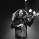 Robby Steinhardt